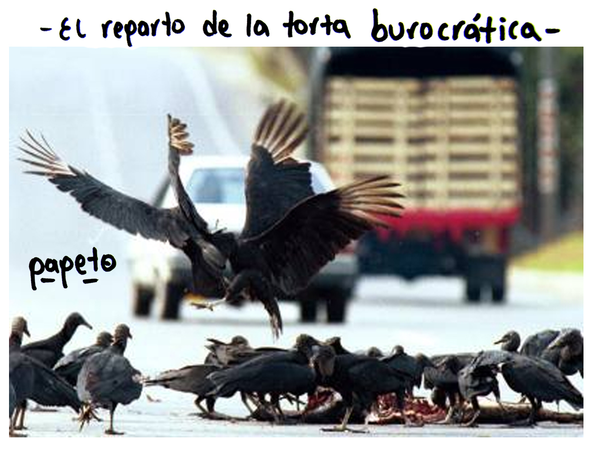 El reparto