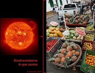 14_Anotaba_all_tambin_que_el_mundo_necesita