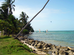 June marie mow playa