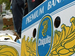 Marco Velasquez bananera Chiquita