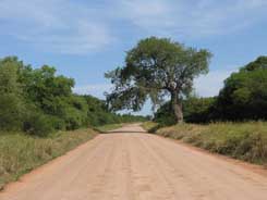 Albert_Berry_balance_caminos