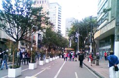 Alberto_Saldarriaga_Bogota_centro