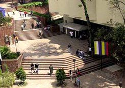 Angela Calvo Guillermo Hoyos Javeriana