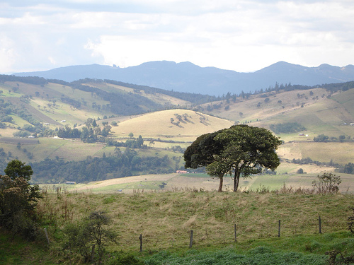 3 absalon machado reforma agraria sembrados campo