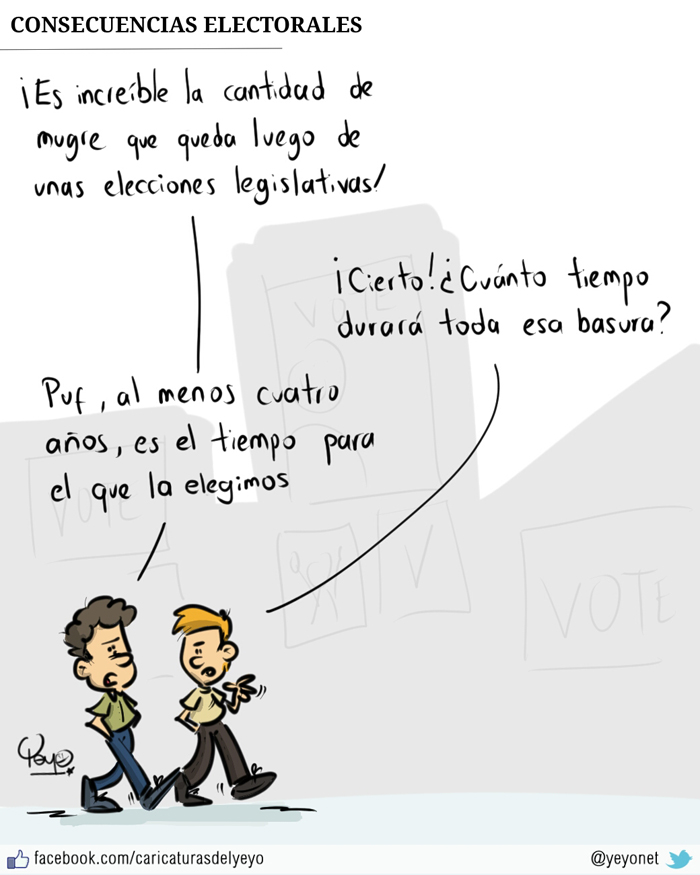 Consecuencias electorales