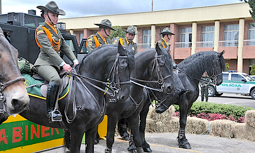 Policía rural: ¿…Y para qué una gendarmería?