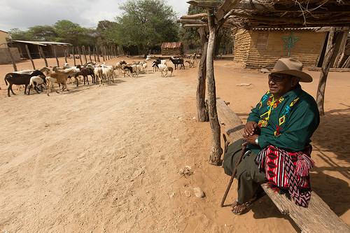 Ranchería Wayuu en La Guajira.
