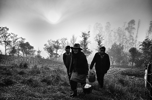 Trabajadores campesinos en Boyacá.