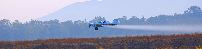 Fumigación aérea.