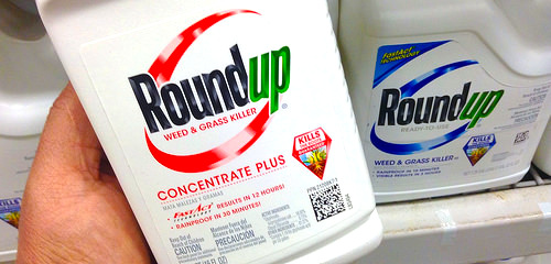 Roundup, nombre comercial del glifosato producido y comercializado por la multinacional Monsanto.