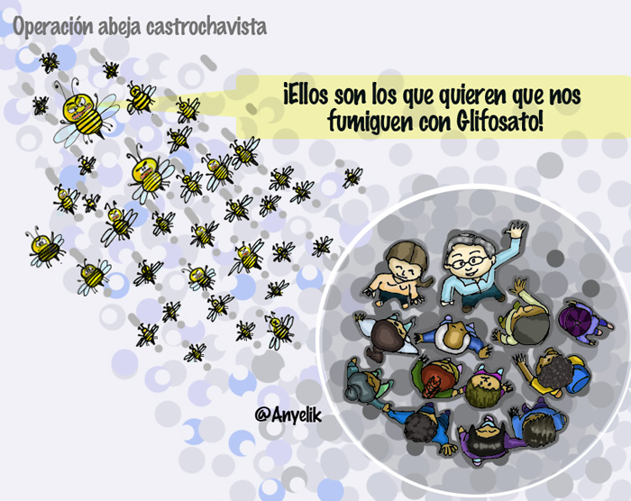 Operacion castro chavista