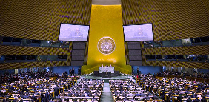 Organización de las Naciones Unidas. 