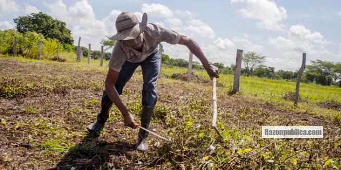 La Reforma Rural y en particular los PDETS se ahogan en medio de burocracia y falta de presupuesto.
