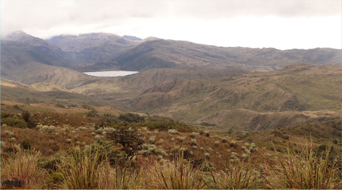 paramo-Chingaza-limites-planetarios-Diego-Restrepo