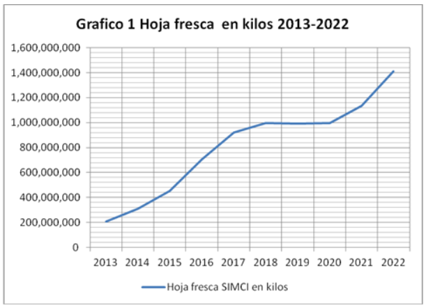 Grafico 1 Hoja fresca en kilos