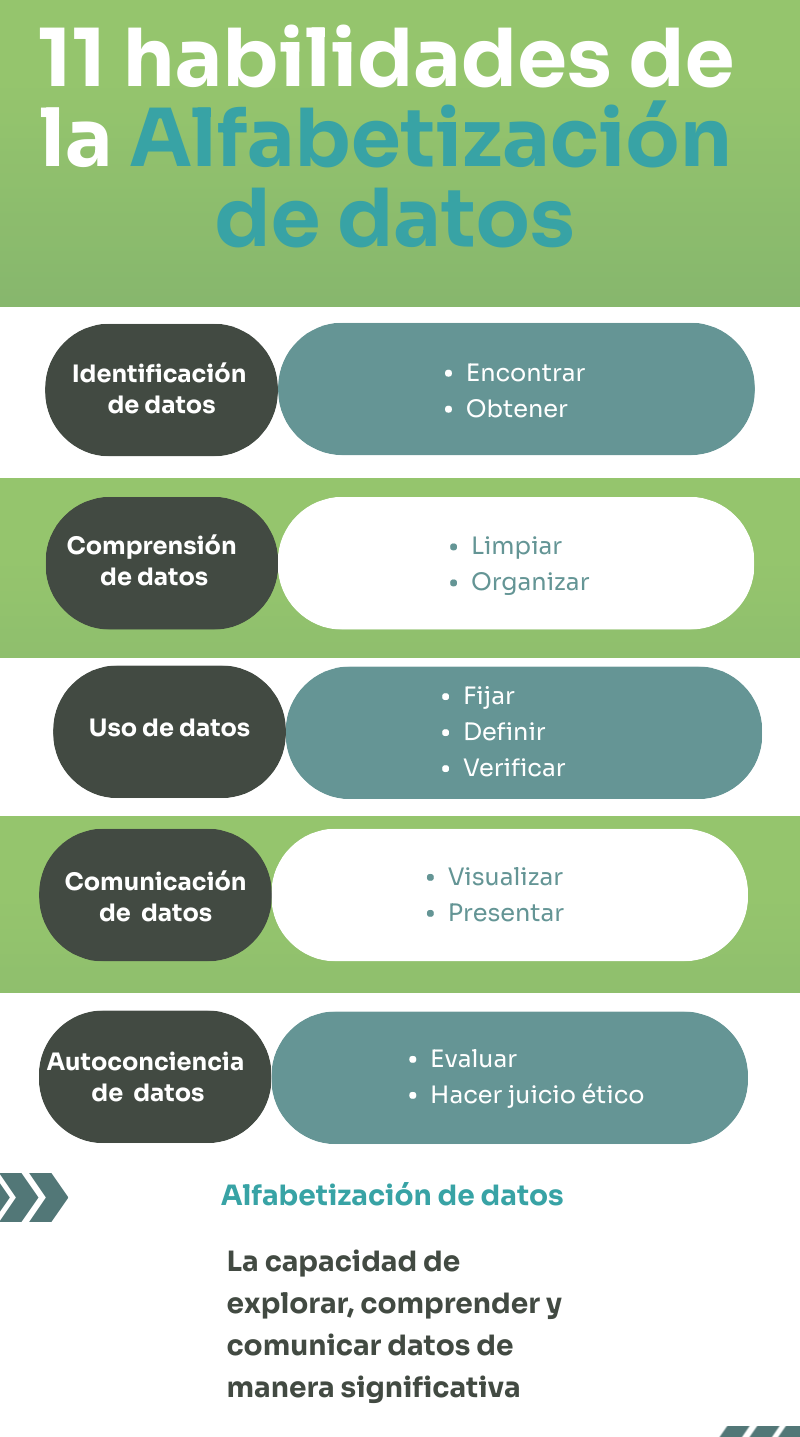 habilidades de la alfabetizacion de datos