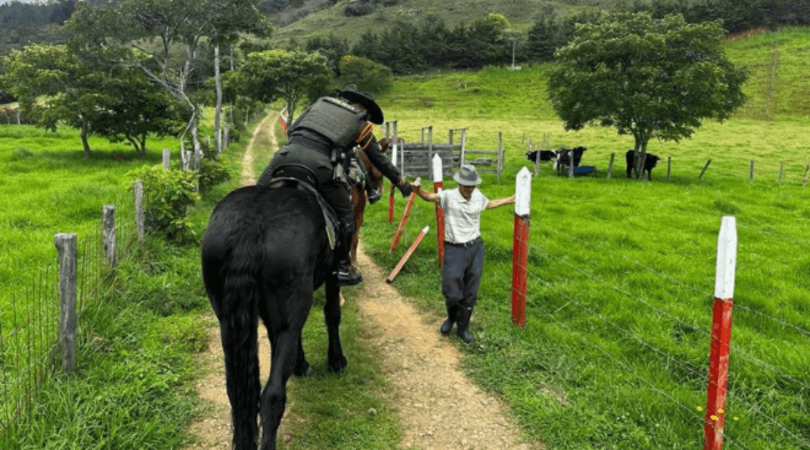Seguridad_descentralizacion