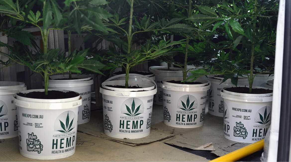 Hemp,_health_&_innovation