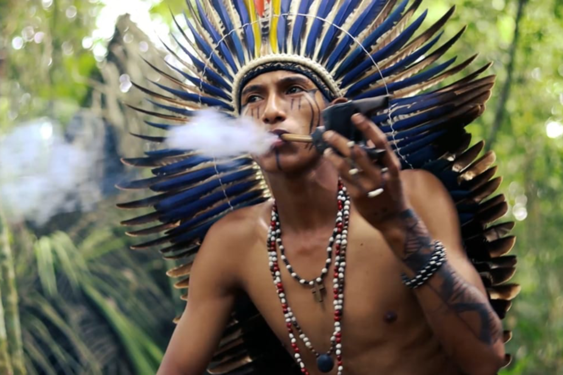  Saberes ancestrales en la era digital: entrevista con el músico indígena Owerá 