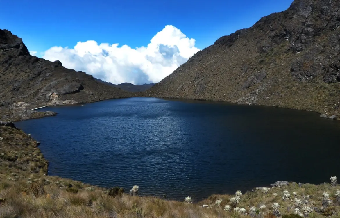  Santurbán: el agua debe ser una política de Estado 