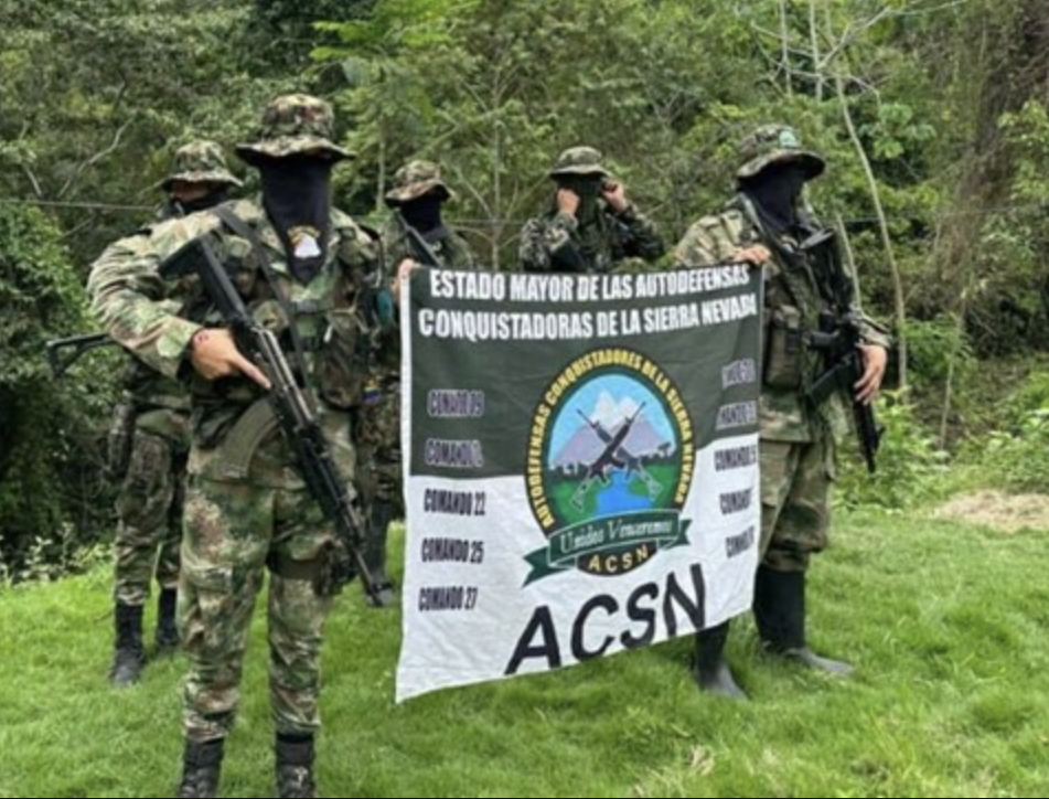  Violencia coercitiva y control territorial 